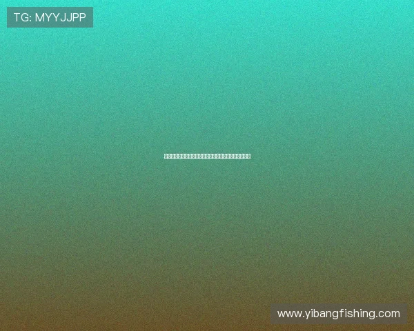 挪威对法国世界杯比赛时间预测及相关赛事安排详细介绍 挪威对法国世界杯比赛时间预测及相关赛事安排详细介绍