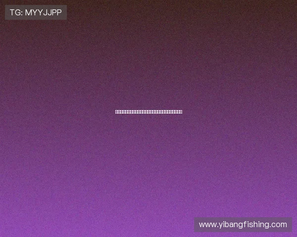 星辉娱乐棋牌结合世界杯主题打造多样化体育娱乐互动新体验 星辉娱乐棋牌结合世界杯主题打造多样化体育娱乐互动新体验