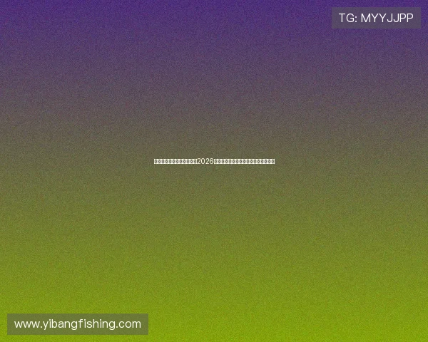南宫娱乐主播为足球迷解读2026世界杯明星球员的表现与未来发展趋势